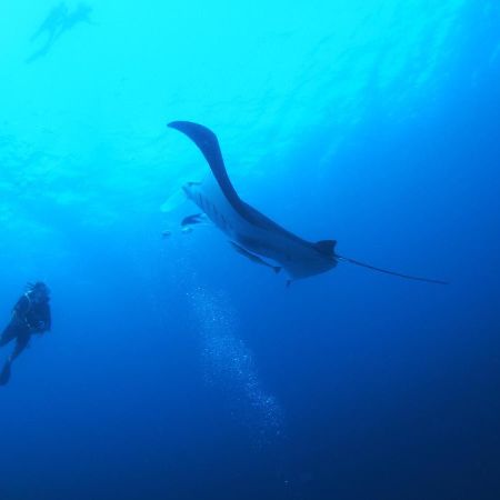 Hotel Unwind Dhigurah Dhigurah  Exterior foto