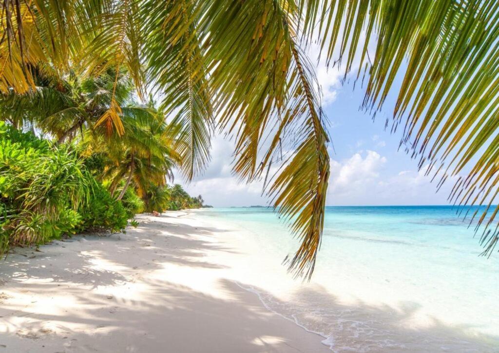 Hotel Unwind Dhigurah Dhigurah  Exterior foto