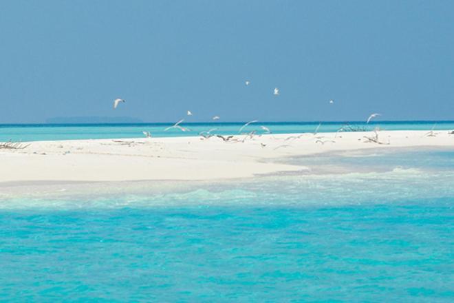 Hotel Unwind Dhigurah Dhigurah  Exterior foto
